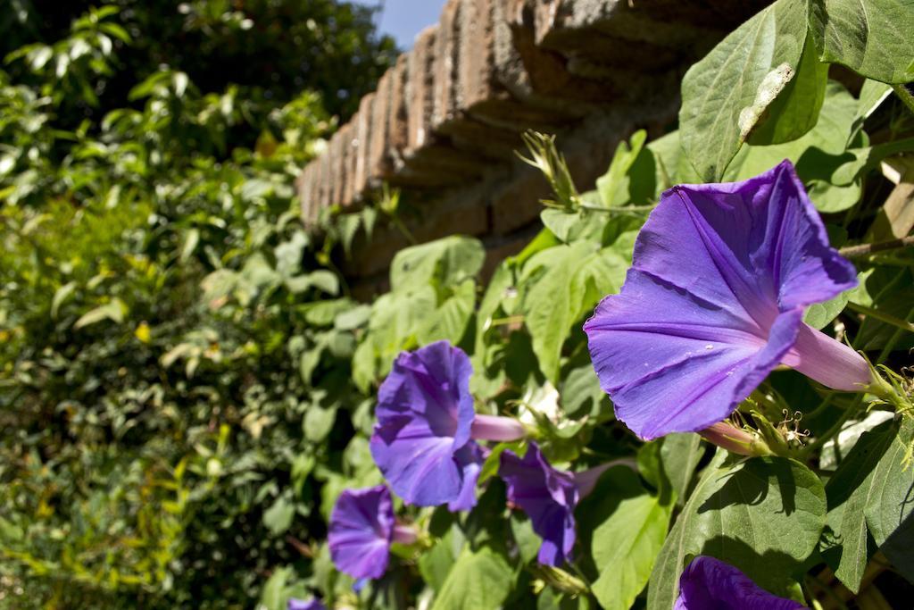 Catorceonce Bed & Breakfast Talca  Eksteriør billede